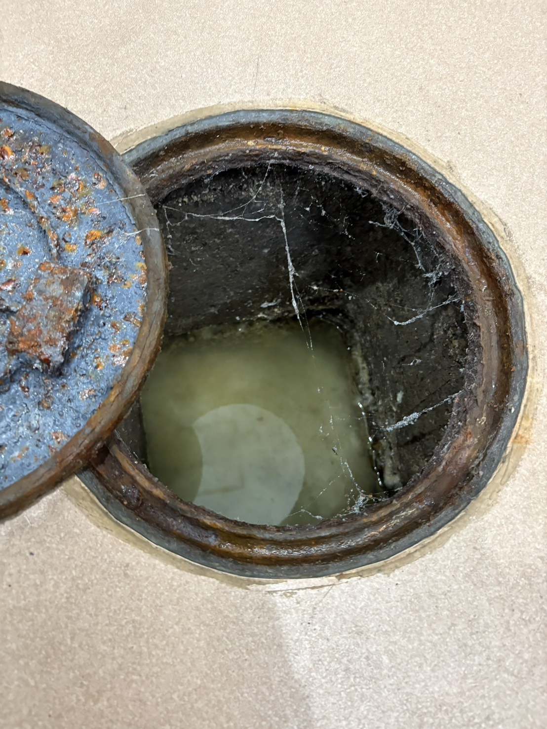 東京都新宿区 トイレの排水桝がつまって水が溢れている状態