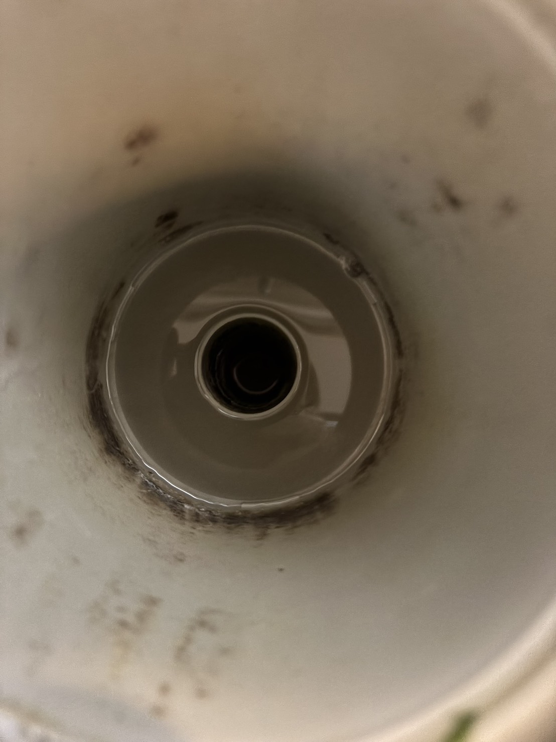 東京都足立区 台所排水つまり 修理後の排水確認