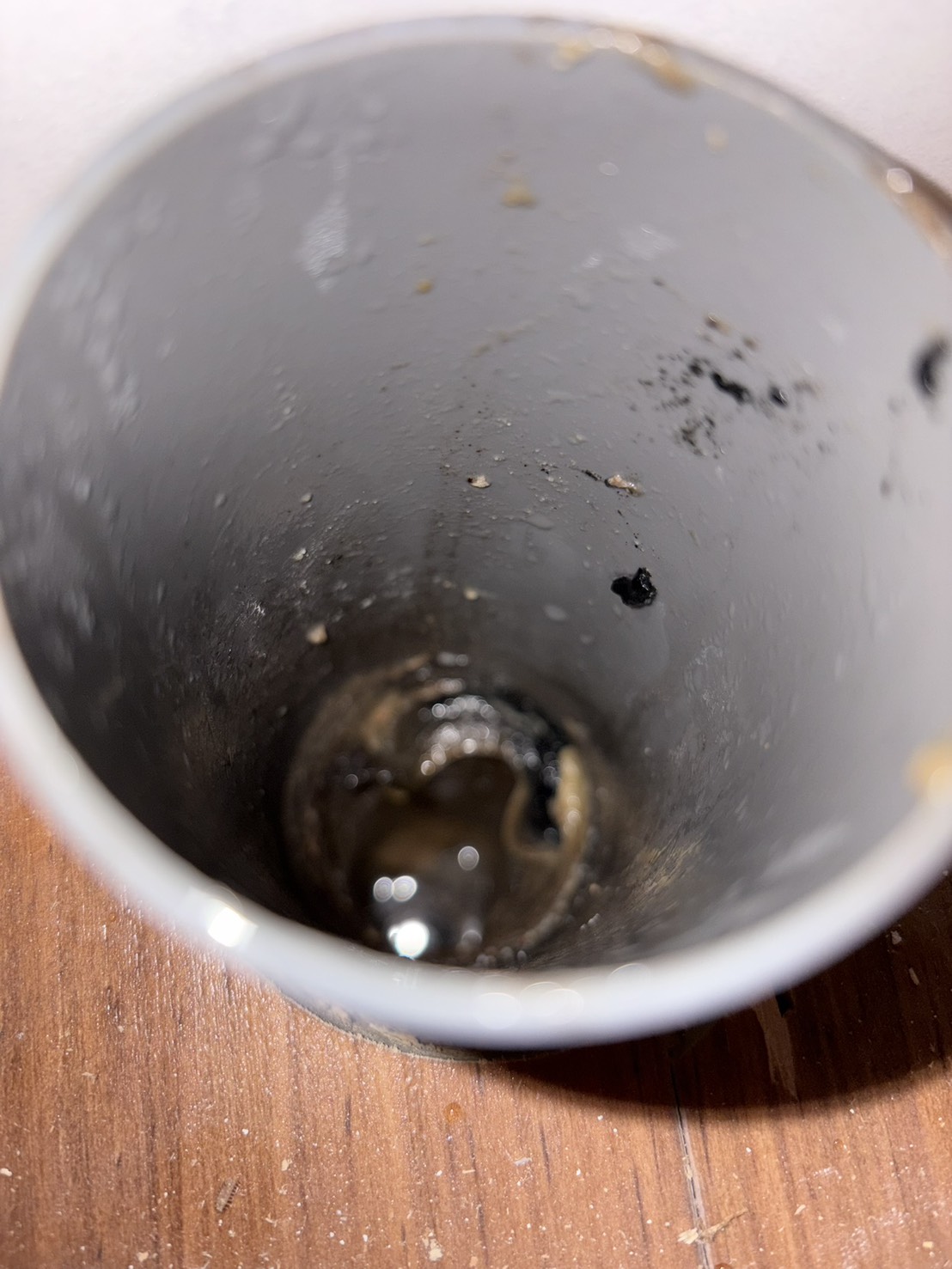 排水つまり修理前の状態(文京区)