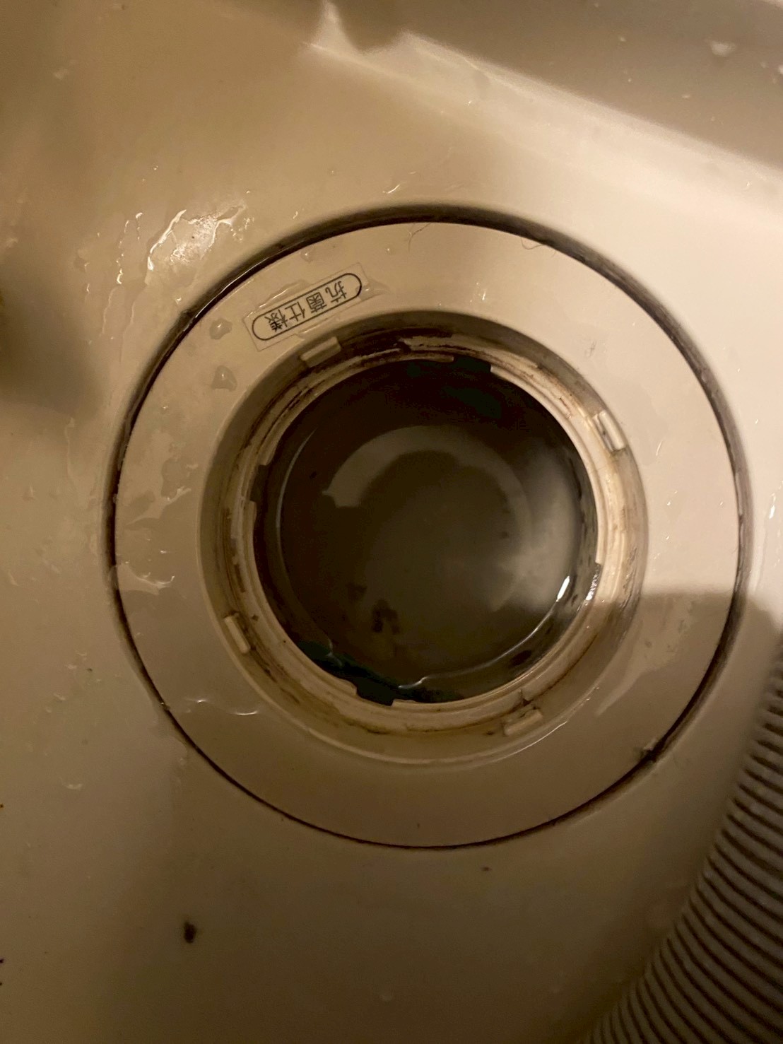 文京区 洗濯機つまり解消後の排水口の状態