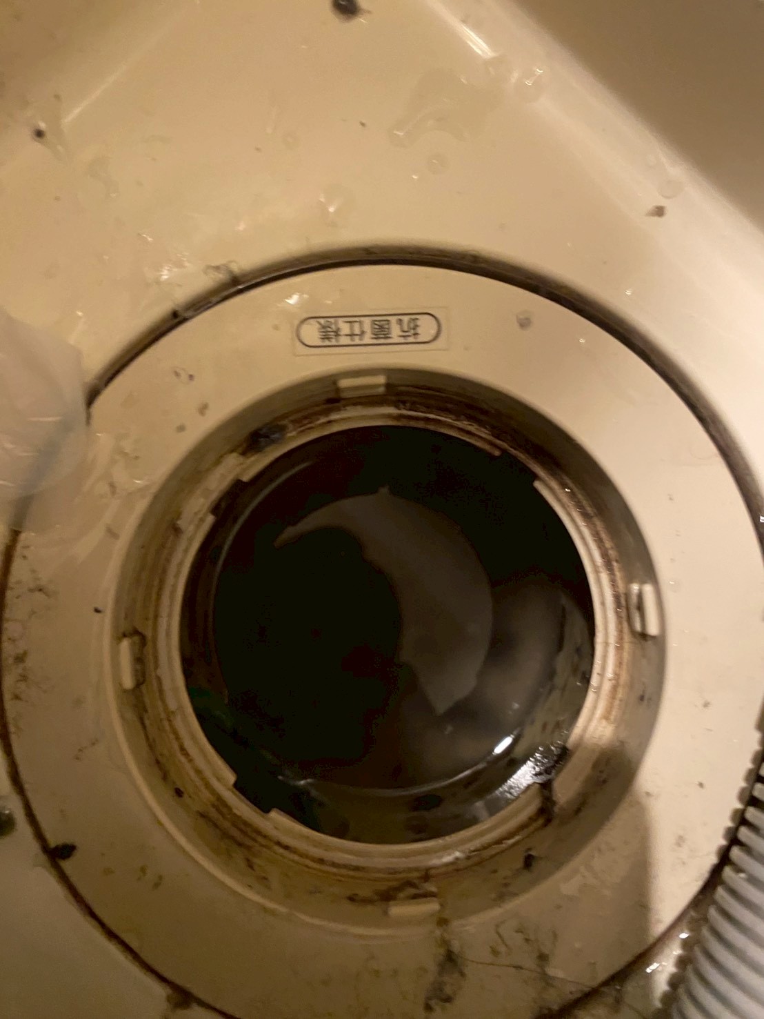 文京区 洗濯機つまり修理前の排水口の状態