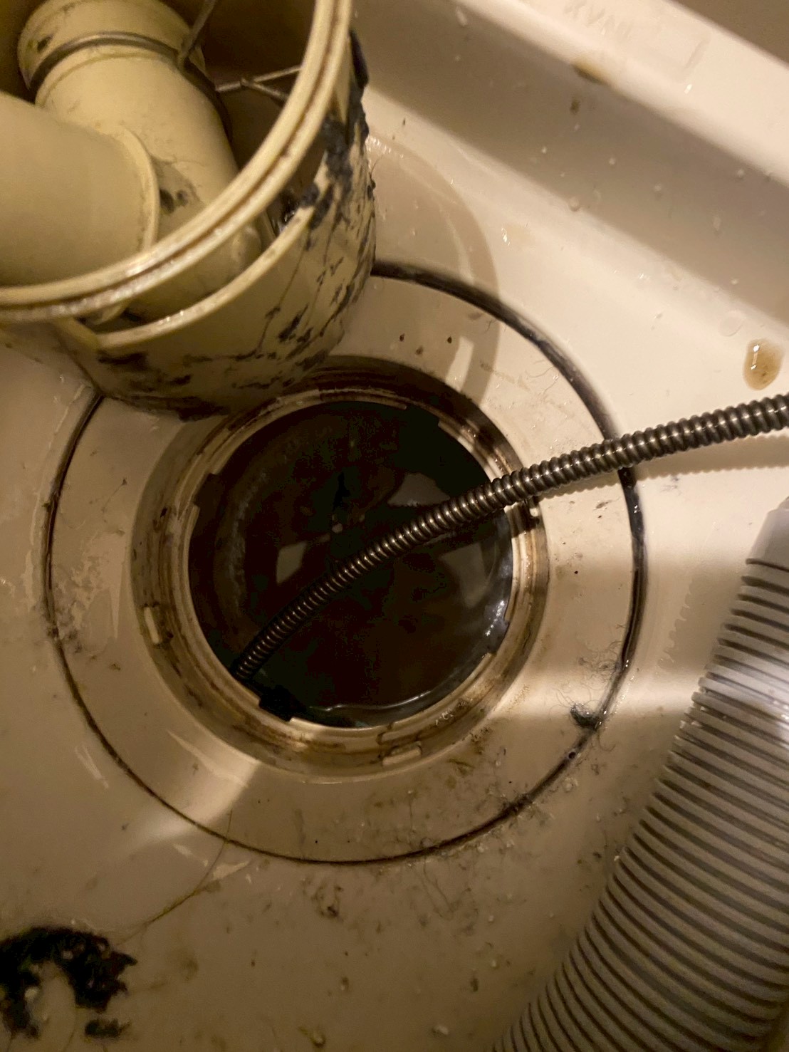 文京区 洗濯機つまりをトーラーで除去中の様子