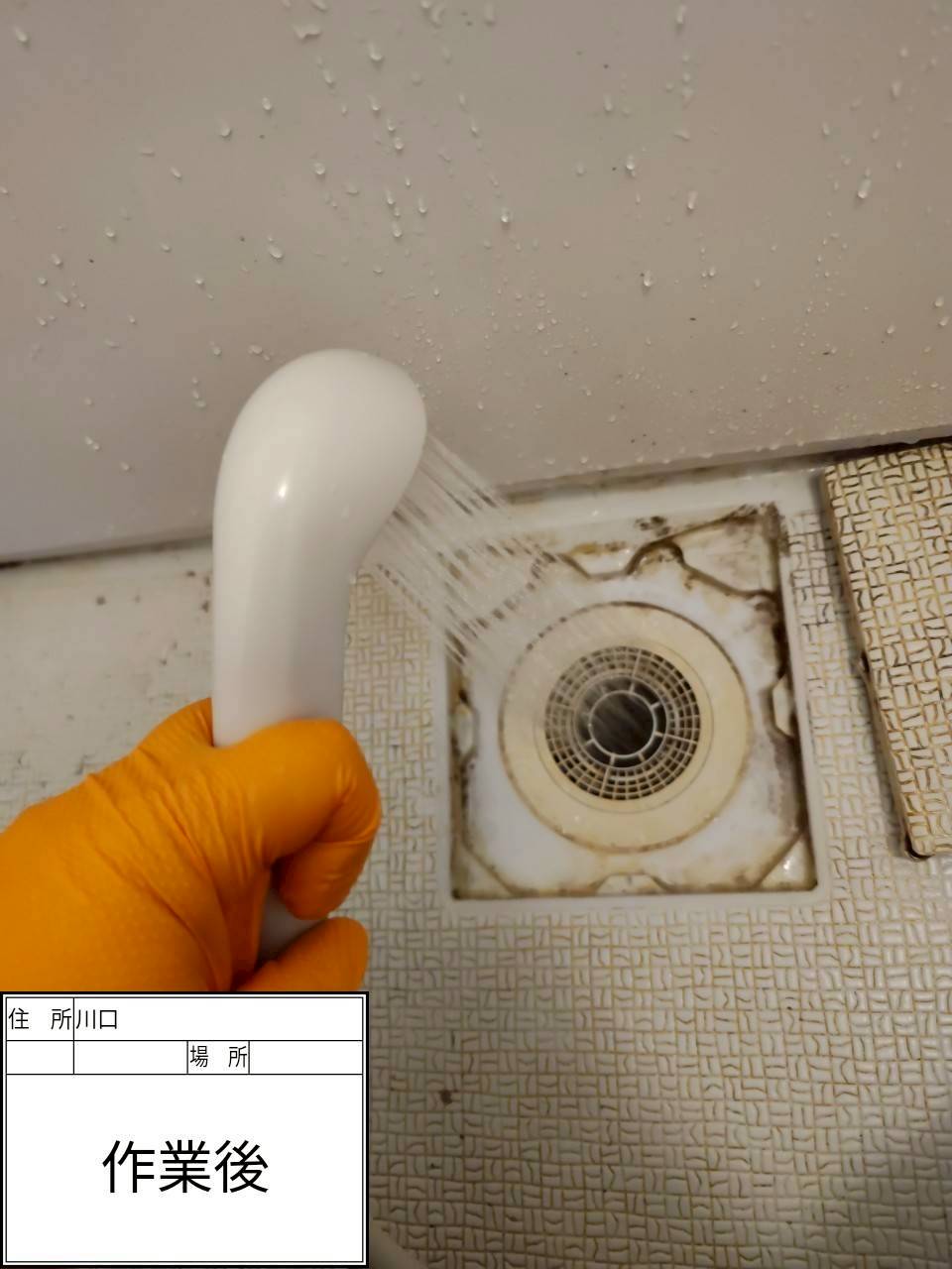 川口市 浴室排水つまり修理後の通水確認