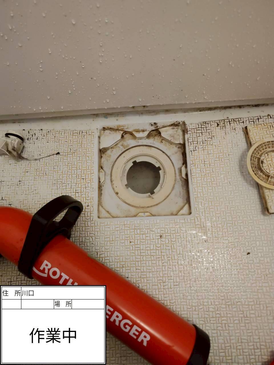 川口市 浴室排水つまり ローポンプ使用後の様子