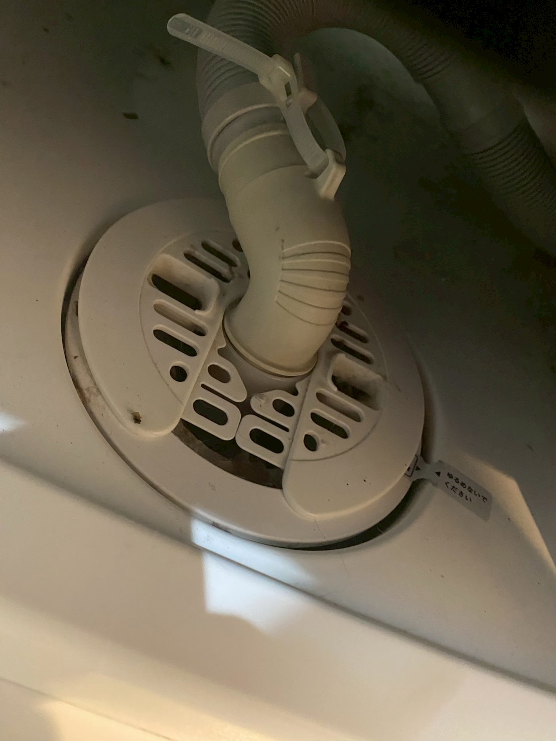 中野区 洗濯機つまり解消後の排水トラップの状態