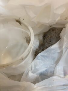 【施工事例】東京都中野区で洗濯機の排水つまり修理｜トラップ分解洗浄