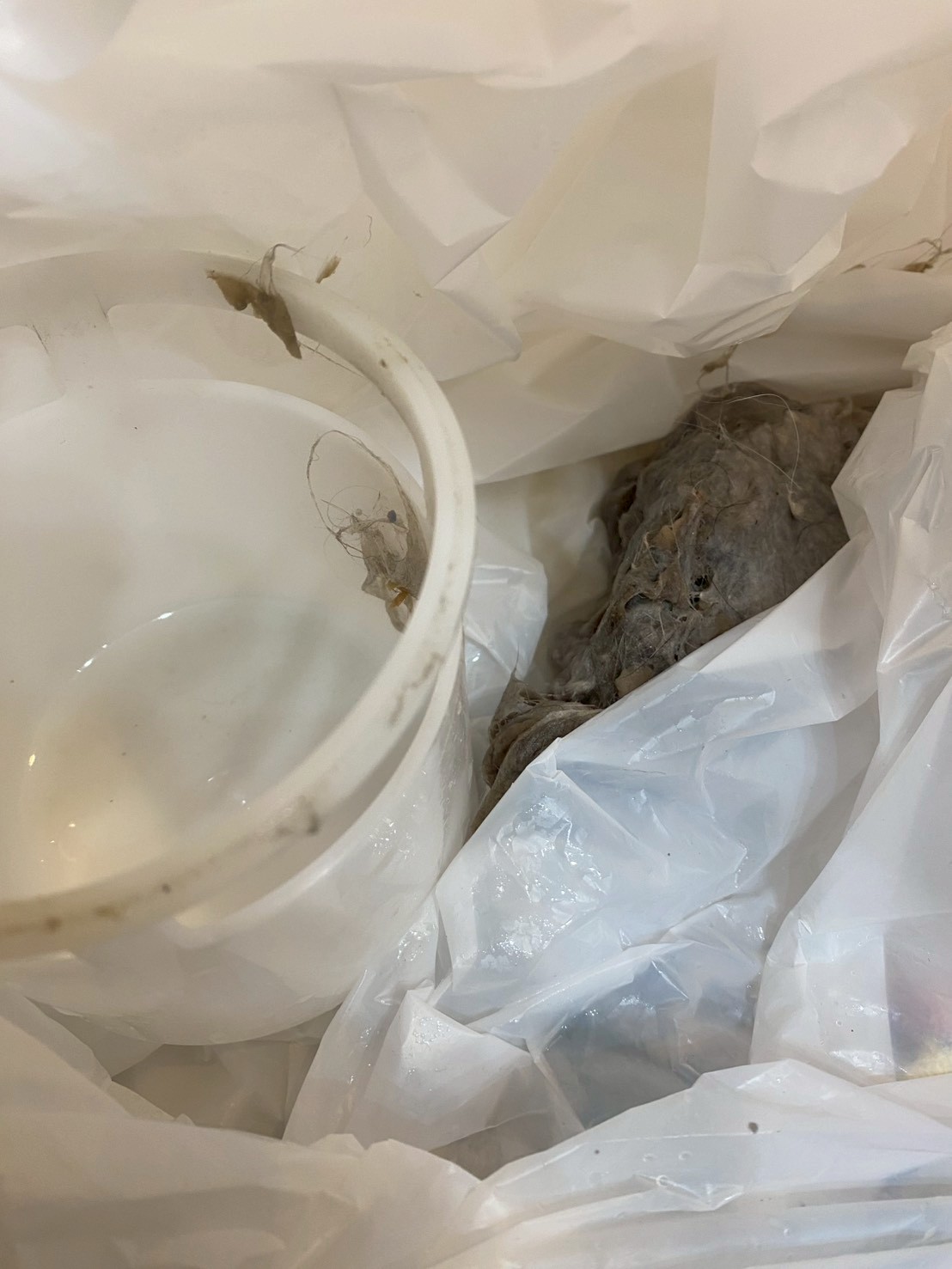 洗濯機つまりをトラップ分解で排除(中野区)